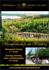 Plakat Weinbau am Geiseltalsee